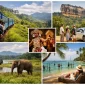 Best Sri Lanka Holiday Packages to Book