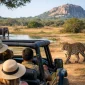Yala Safari Tour Review: What to Expect
