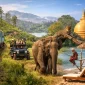 wildlife safaris in sri lanka for every traveler featured 85x85