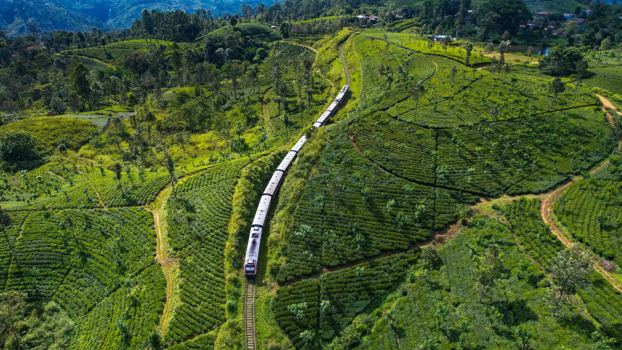 Train travelling through Sri Lanka’s tea country